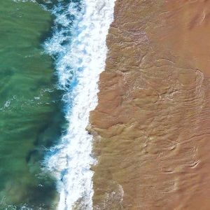 Meet your Posher, Bennett